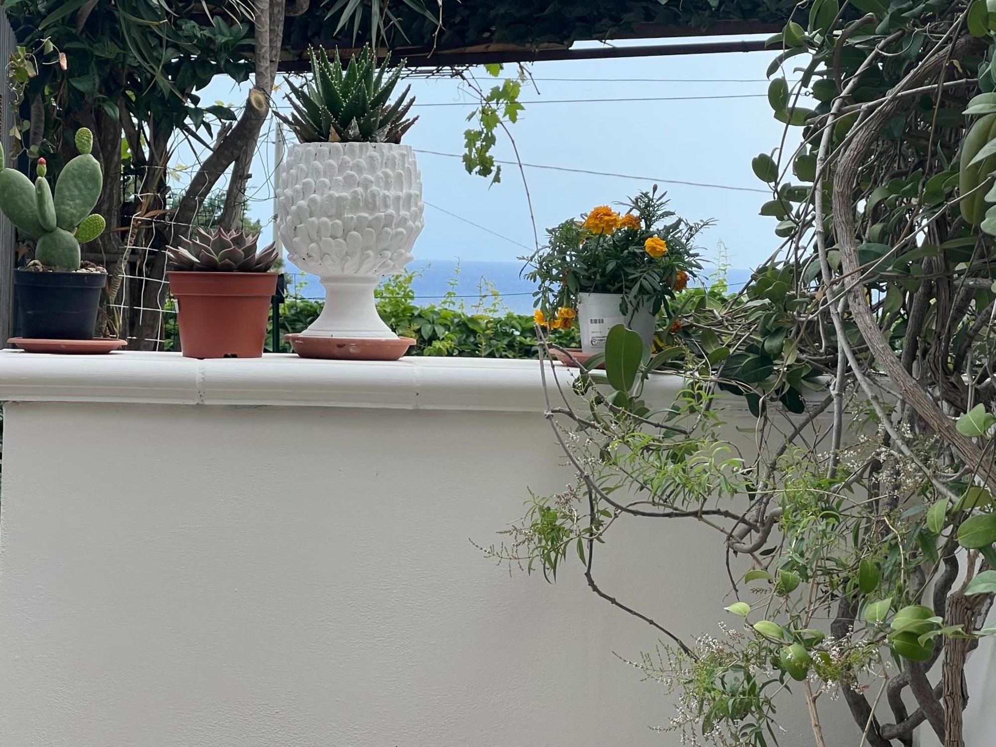 הוילה צ'פאלו La Casa Dei Ciocio מראה חיצוני תמונה