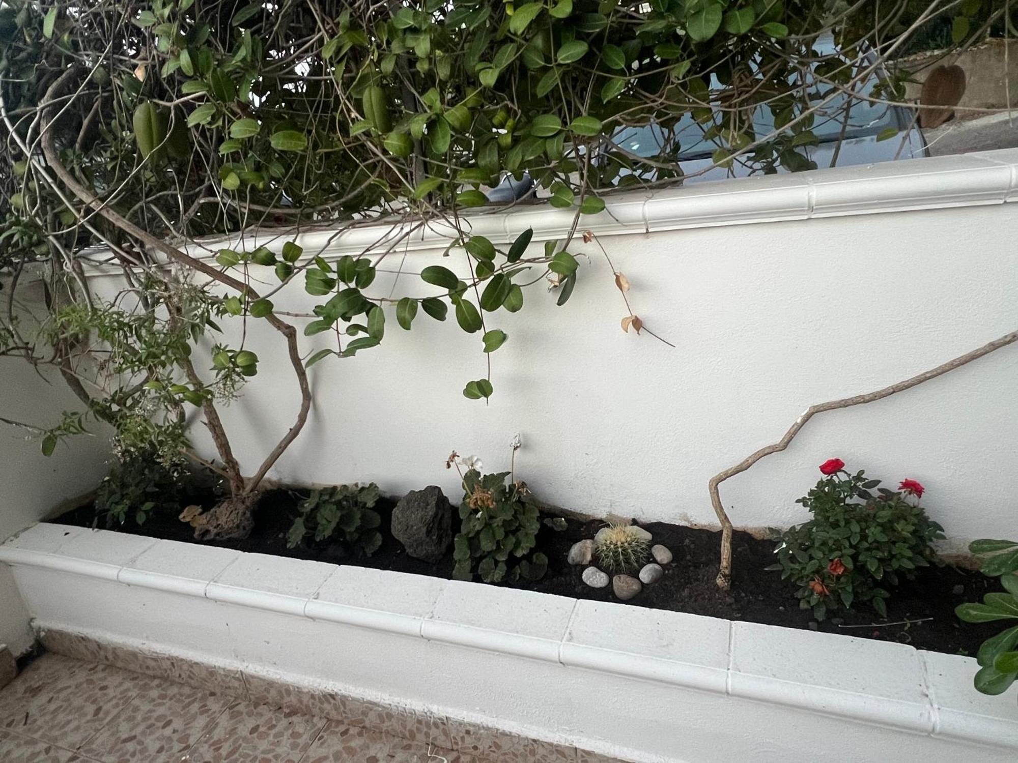 הוילה צ'פאלו La Casa Dei Ciocio מראה חיצוני תמונה